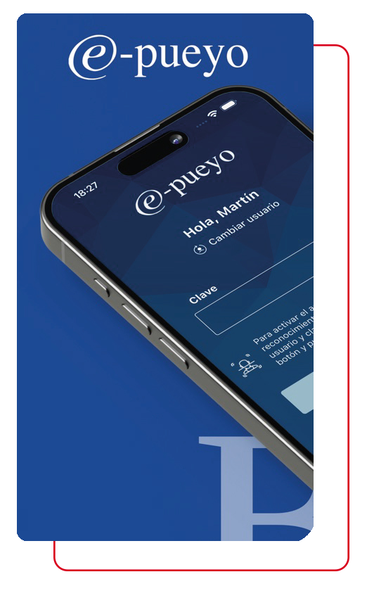 App online Banca Pueyo